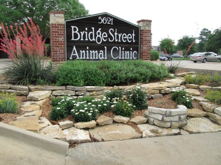 Bridge Street Animal Hospital - Veterinarian serving Arlington, Fort Worth, Hurst, Euless, Bedford, Southlake and Keller TX  - Welcome to our site!